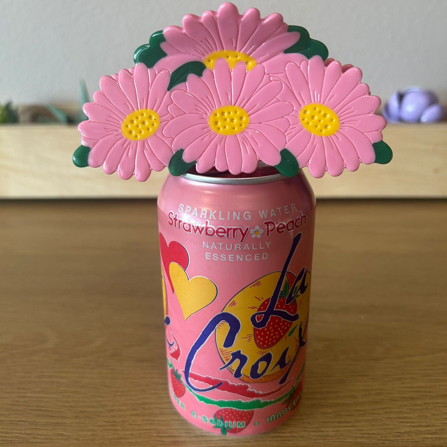 Maxi Pink Daisy - Size Comparison Front View - Sitting on top of Dark Pink La Croix Soda Can - Flowers Angled
